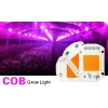 Dioda COB 20W grow zasilanie 230V+ pasta W-wa Dioda COB 20W grow zasilanie 230V+ pasta W-wa