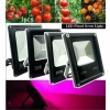 NOWOŚĆ HALOGEN GROW 30 W led DO UPRAWY ROŚLIN W-WA NOWOŚĆ HALOGEN GROW 30 W led DO UPRAWY ROŚLIN W-WA