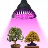 DUŻA ŻARÓWKA LED E27 GROW 21W DO UPRAWY ROŚLIN Wwa DUŻA ŻARÓWKA LED E27 GROW 21W DO UPRAWY ROŚLIN Wwa